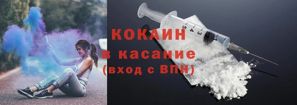молекула духа Бородино